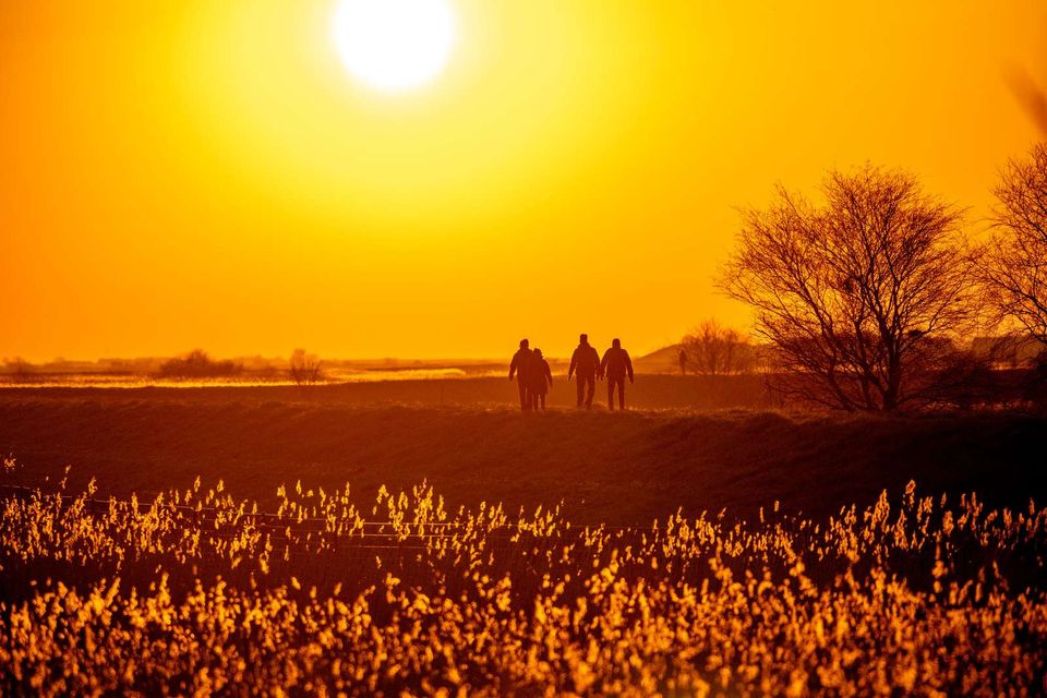 En ugentlig gåtur i naturen med skånsomme øvelser undervejs er blot ét af de nye bevægelsestilbud til borgere, der ønsker at styrke deres sundhed i trygge rammer. Foto: Tønder Kommune